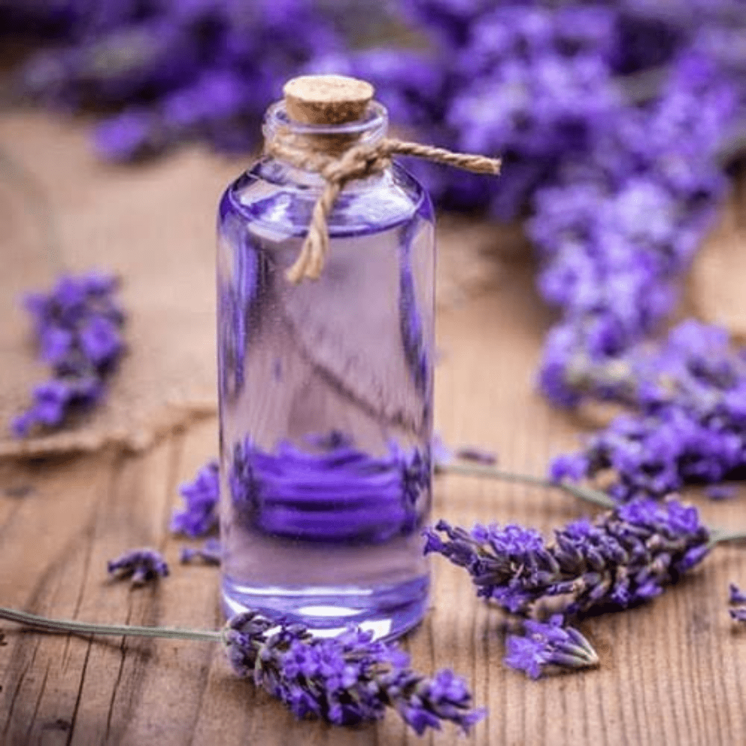 Lavender essential oil | QuantoAgro