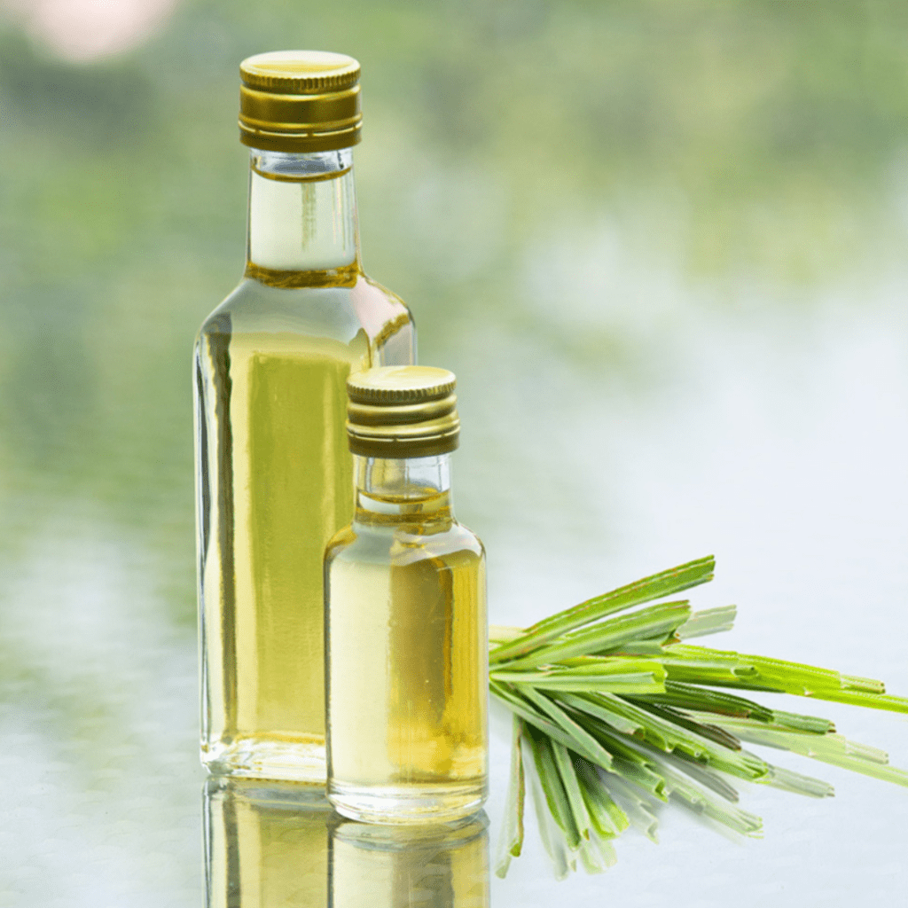 Palmarosa essential oil | QuantoAgro