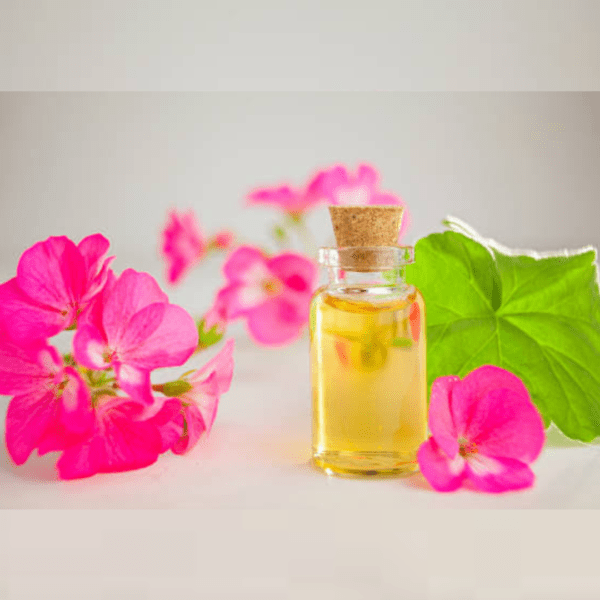Rose Geranium Essential Oil | QuantoAgro
